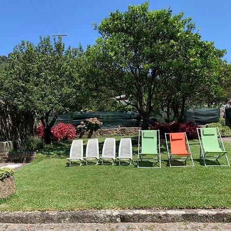 Casa Praia E Campo Viana do Castelo Exteriér fotografie